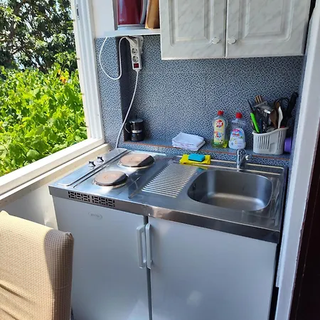 Kralj 사플루나라