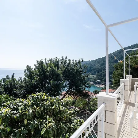 Kralj 사플루나라