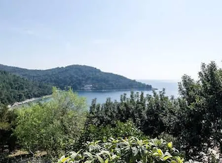 Kralj *