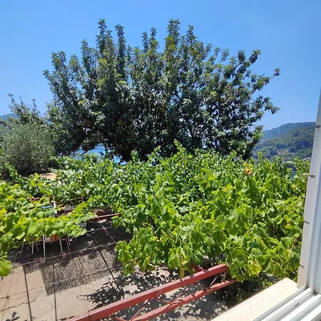 Apartamento Kralj Saplunara
