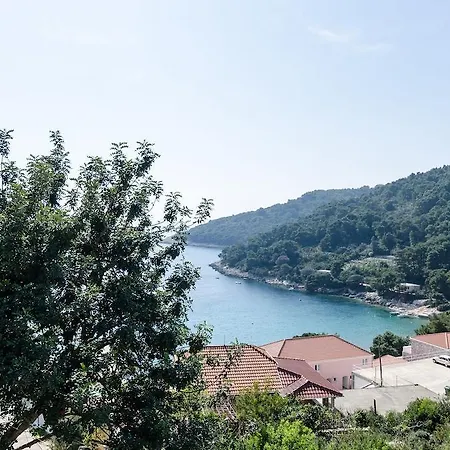 Kralj