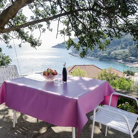 Apartman Kralj Saplunara