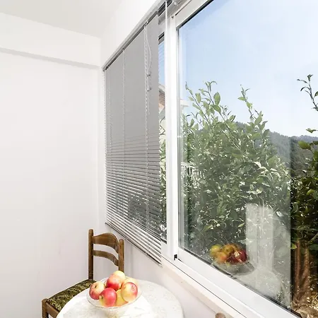 Apartmán Kralj Saplunara