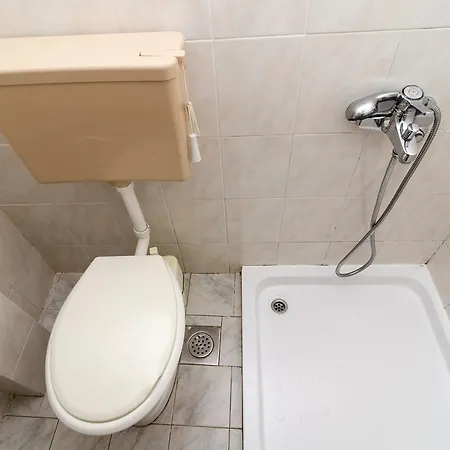 Kralj * Saplunara